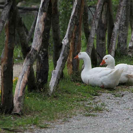 Albergo Lago Verde Pennabilli Exterior photo