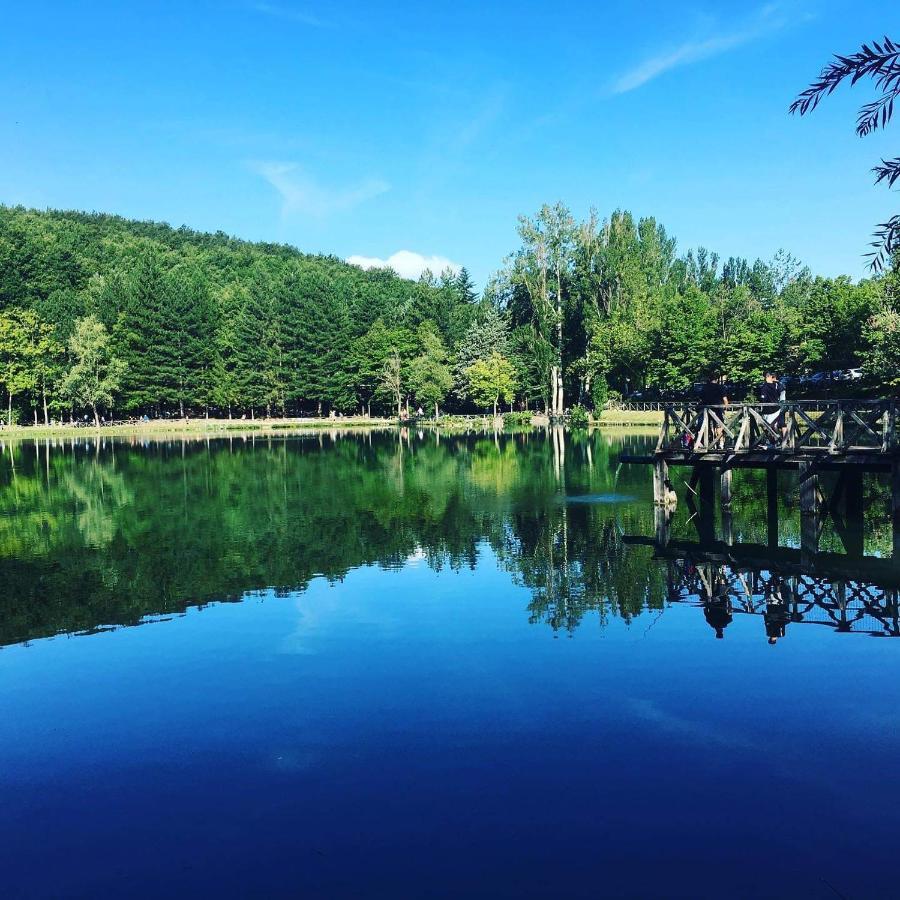 Albergo Lago Verde Pennabilli Exterior photo
